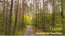  Presentation with summer trees - Colorful presentation enhanced with landscape-with-walkway-lane-path backdrop and a tawny brown colored foreground