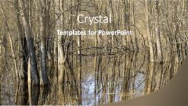  Presentation with spring water - Presentation design featuring landscape-with-water-filled-trees background and a coral colored foreground