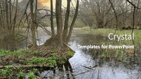  Presentation with swamp - PPT layouts with landscape-with-wild-swamp background and a tawny brown colored foreground