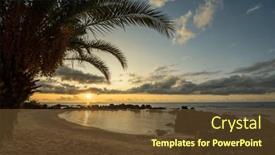  Presentation with palm - PPT theme having landscapes-and-scenes-of-mauritius background and a tawny brown colored foreground