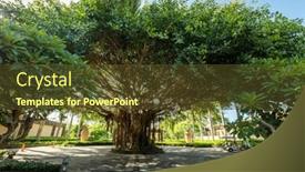  Presentation with skies - 