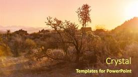  Presentation with tucson - Slide set having landscapes-over-suburb-of-tucson background and a tawny brown colored foreground
