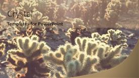  Presentation with tucson - PPT layouts with landscapes-over-suburb-of-tucson background and a coral colored foreground