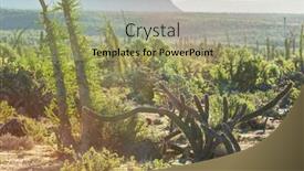  Presentation with tucson - Beautiful PPT layouts featuring landscapes-over-suburb-of-tucson backdrop and a mint green colored foreground