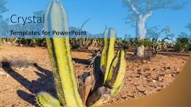  Presentation with tucson - Presentation theme consisting of landscapes-over-suburb-of-tucson background and a light blue colored foreground