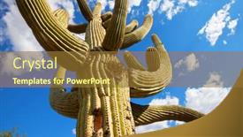  Presentation with tucson - Slide deck consisting of landscapes-over-suburb-of-tucson background and a tawny brown colored foreground