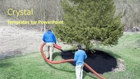  Presentation with mulch - Slides consisting of landscaping-crew-blowing-mulch-under background and a violet colored foreground