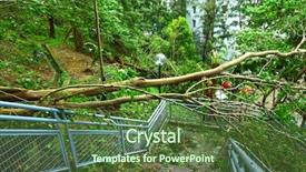  Presentation with landslide - Presentation theme featuring landslide - tree collapse after typhoon background and a tawny brown colored foreground