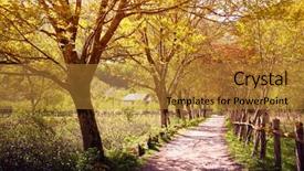  Presentation with forest road - Slide set having lane - road in the forest background and a gold colored foreground