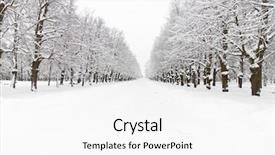  Presentation with winter - Beautiful slides featuring lane at winter snowy park backdrop and a white colored foreground