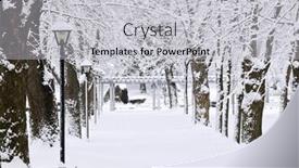  Presentation with snow - Colorful slides enhanced with lane-in-winter-park backdrop and a light gray colored foreground