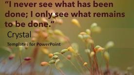  Presentation with quote - Audience pleasing presentation design consisting of language experience - inspirational quote by the buddha backdrop and a gold colored foreground