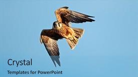  Presentation with south africa - Slide set enhanced with businessman thinking about study abroad background and a dark gray colored foreground