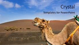  Presentation with camel - Theme enhanced with lanzarote in timanfaya fire background and a light blue colored foreground