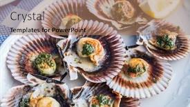  Presentation with green - Slides having lapas-or-true-limpets background and a coral colored foreground