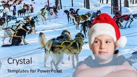  Presentation with dog sled - Beautiful presentation featuring lapland the snow-covered coniferous backdrop and a light blue colored foreground