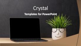  Presentation with plant - Presentation theme consisting of laptop-and-potted-plant and a  colored foreground