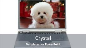  Presentation with pure white - Audience pleasing presentation design consisting of laptop-computer-a-beautiful-pure backdrop and a gray colored foreground