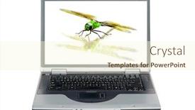  Presentation with monitor computer - Amazing presentation design having laptop-computer-dragonfly-isolated backdrop and a cream colored foreground