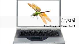  Presentation with scientific research - Presentation theme consisting of laptop-computer-dragonfly-isolated background and a white colored foreground