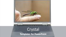  Presentation with system computer - Slide deck enhanced with laptop-computer-dragonfly background and a gray colored foreground