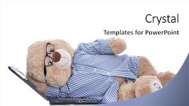  Presentation with teddy bear - Audience pleasing PPT theme consisting of manager director - worked teddy bear taking backdrop and a white colored foreground