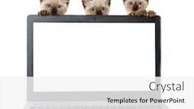  Presentation with laptop blank screen - Audience pleasing slide deck consisting of laptop-with-blank-screen backdrop and a white colored foreground