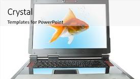  Presentation with white gold - Presentation theme enhanced with laptop with gold fish isolated background and a light gray colored foreground