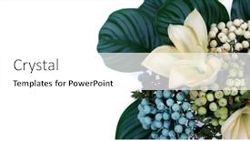  Presentation with white flowers - PPT theme featuring large-amaryllis-flowers-and-branches background and a white colored foreground