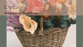  Presentation with white flowers - Audience pleasing presentation design consisting of large-amaryllis-flowers backdrop and a coral colored foreground