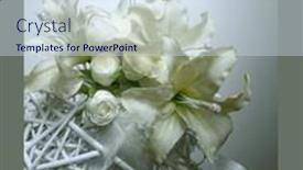  Presentation with white flowers - Beautiful PPT theme featuring large-amaryllis-flowers backdrop and a sky blue colored foreground