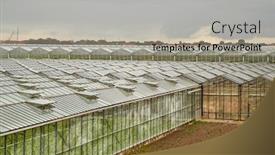  Presentation with greenhouses - Audience pleasing PPT theme consisting of hydroponics - large area of greenhouses backdrop and a light gray colored foreground