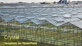  Presentation with greenhouses - Audience pleasing presentation design consisting of large-area-of-greenhouses backdrop and a tawny brown colored foreground