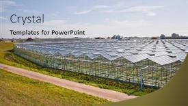  Presentation with greenhouses - Audience pleasing slide deck consisting of large-area-of-greenhouses backdrop and a light blue colored foreground