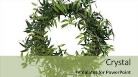  Presentation with lucky bamboo - Beautiful presentation theme featuring large bamboo wreath isolated backdrop and a  colored foreground