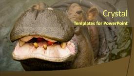  Presentation with mouth - Slide set consisting of large-behemoth-hippopotamus-with-open background and a violet colored foreground