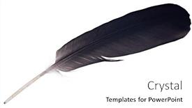  Presentation with feather - Slide set consisting of large-black-feather-isolated background and a  colored foreground