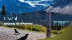  Presentation with raven black - Slides having large-black-raven-is-sitting background and a ocean colored foreground