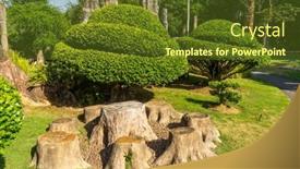  Presentation with banyan tree - Slides with large-bonsai-banyan-tree background and a tawny brown colored foreground