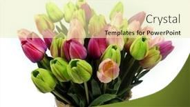  Presentation with wedding white - Beautiful PPT theme featuring large-bouquet-of-tulips backdrop and a blonde colored foreground