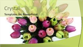  Presentation with white wedding - Presentation theme featuring large-bouquet-of-tulips background and a blonde colored foreground