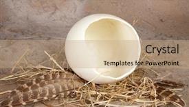  Presentation with egg - Audience pleasing slides consisting of data concept data migration backdrop and a  colored foreground.