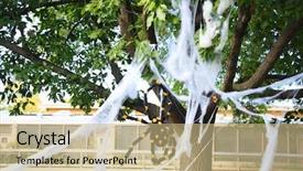  Presentation with spider - Beautiful slide set featuring spidervenom - large fake spider with spider backdrop and a coral colored foreground