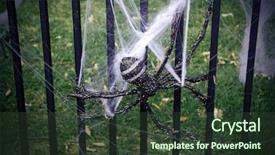  Presentation with spider - PPT layouts having spidervenom - large fake spider with spider background and a tawny brown colored foreground