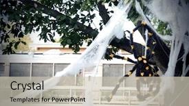  Presentation with spider - Slide deck enhanced with spidervenom - large fake spider with spider background and a soft green colored foreground