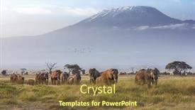  Presentation with elephants - PPT theme enhanced with large-family-herd-of-elephants background and a tawny brown colored foreground