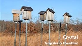  Presentation with tall - Cool new presentation theme with  backdrop and a  colored foreground