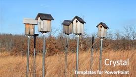  Presentation with tall - Amazing presentation theme having background of green leaves plants nature concept backdrop and a ocean colored foreground