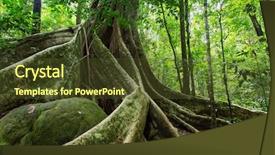  Presentation with fig tree - Slide deck featuring large fig tree trunk background and a tawny brown colored foreground