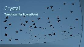  Presentation with flight - Slide deck enhanced with large-flock-of-common-grackles background and a ocean colored foreground